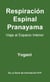 Respiración Espinal Pranayama - Viaje al Espacio Interior - La Serie de Iluminación AYP, #2