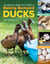 An Absolute Beginner's Guide to Raising Backyard Ducks - Breeds, Feeding, Housing and Care, Eggs and Meat