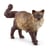 Chat Ragdoll