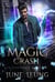 Magic Crash - The Hidden Order of Magic: Shaken, #7