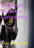 O Chip da Morte e o Coronavírus - Aliens and parallel worlds, #21