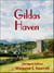 Gildas Haven