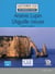 Arsène Lupin l'aiguille creuse - Niveau 2/A2 - Lecture CLE en français facile - Ebook