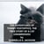 The Adventures of Tommy Postoffice, the True Story of a Cat (UNABRIDGED)