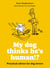 My dog thinks he's human!? - Practical advice for dog lovers