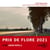 Le Voyant d'Etampes