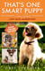 That's One Smart Puppy - From Smart Puppy to Wise Old Dog, #1