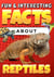 Fun & Interesting Facts About Reptiles