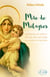 Mãe de milagres - Experiências de carinho e amor de mãe vivenciadas nos santuários da Mãe Rainha