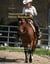 Westernreiten meets Natural Horsemanship - Wie das Turnier zum gemeinsamen Projekt von Pferd & Mensch wird