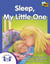 Sleep, My Little One