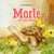 Morle - Die Schildkröte