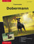 Traumrasse: Dobermann