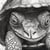 The Resilient Journey: Life of a Legless Turtle