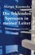 Die fehlenden Sprossen in meiner Leiter - Eine familiäre Spurensuche