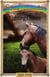 Fighting Chance - Horse Guardian, #11