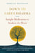 Down to Earth Dharma - Insight Meditation to Awaken the Heart