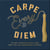 Carpe Every Diem - The Best Graduation Advice from More Than 100 Commencement Speeches : A Graduation Book