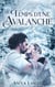 Le temps d'une avalanche