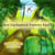 Are Enchanted Forests Real?
