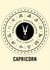 Capricorn - Personal Horoscopes 2012