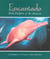 Encantado - Pink Dolphin of the Amazon