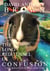 The Long Red Tunnel of Confusion: A Time Traveling Guinea Pigs Short Story - The Time Traveling Guinea Pigs, #3