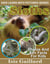 Sloths Photos and Fun Facts for Kids - Kids Learn With Pictures, #97