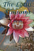 The Lotus Blossoms - The Lotus Trilogy, #1