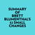 Summary of Brett Blumenthal's 52 Small Changes