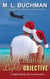 The Christmas Lights Objective - The Night Stalkers 5E Stories, #4