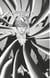 Bleach - T45 - Chapitre 388 - Eagle Without Wings 2 [EXTREME BATTLEMASTERS MIX]