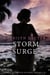 Storm Surge - Rum Runners' Chronicles, #2