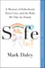 Safe - A Memoir of Fatherhood, Foster Care, and the Risks We Take for Family