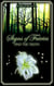 Signs of Fairies - Find the Truth