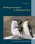 Rockhopper penguins at Schönbrunn Zoo - 35 years of experience in keeping and breeding