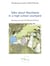 Talks about Mauritania in a high-school courtyard - Drawnings and scenes by Mohamed El Hacen