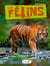 LES FELINS