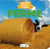 Cache-cache dans la nature : ferme