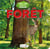Cache-cache dans la nature : forêt