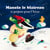 Manolo le blaireau se prépare pour l'hiver