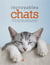 Incroyables chats