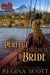 The Perfect Mail-Order Bride - Frontier Matches, #1