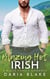 Blazing Hot Irish - Blaze Family Romance