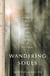 Wandering Souls - Journeys With the Dead and the Living in Viet Nam