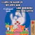 I Love to Sleep in My Own Bed Amo dormire nel mio letto - English Italian Bilingual Collection