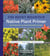 The Rocky Mountain Native Plant Primer - 225 Plants for an Earth-Friendly Garden