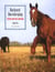 Backyard Horsekeeping - The Only Guide You'll Ever Need