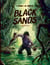 Black Sands