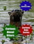 Curious About Otters - Curious Kids Series, #4